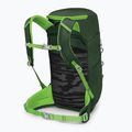 Children's hiking backpack Osprey Jet 18 l green canopy/ limeline green 4