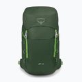 Hiking backpack Osprey Jet 28 l green canopy