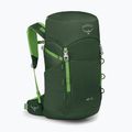 Hiking backpack Osprey Jet 28 l green canopy 2
