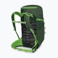 Hiking backpack Osprey Jet 28 l green canopy 3