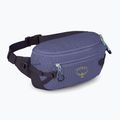 Osprey Transporter Waist Pack 3 l euphoria kidney pouch 2