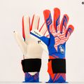 RG Toride 21/22 goalkeeper glove red/blue TOR2107 5