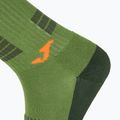 Joma R-Trail Nature socks 3 pairs multicolour 6