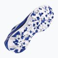 Men's football boots Joma Liga 5 TF royal 12