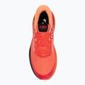 Men's running shoes Joma Fenix coral 5