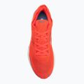 Men's running shoes Joma Viper coral 5