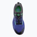 Men's running shoes Joma Sierra electric blue 5
