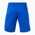 Men's shorts Joma Terra royal/dark navy 2