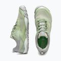 Men's running shoes Joma Sierra Barefoot green 4