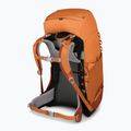 Osprey Ace 38 l orange sunset children's trekking backpack 6