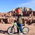 Strider Sport 12" green cross-country bicycle 9