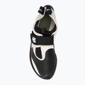 Climbing shoe Evolv Zenist grey/black 5