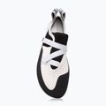 Women's climbing shoes Evolv Defy gray/white 11
