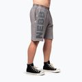 NEBBIA Washed-Off men's training shorts NO BS light grey 4