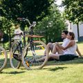 Kellys Royal Dutch 460 city bike black 72362 11
