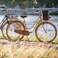 Kellys Royal Dutch 460 city bike blue 72363 3