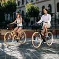 Kellys Royal Dutch 460 city bike blue 72363 5