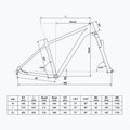 Kellys Spider 50 29" mountain bike black 68852 2