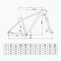 Kellys Spider 70 29" mountain bike black 72164 2