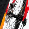 Kellys Spider 50 29" mountain bike red 72170 11