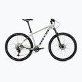 Kellys Spider 90 29" mountain bike grey/green