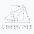Kellys Spider X50 27.5" graphite grey mountain bike 2