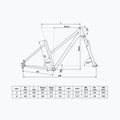 Kellys Clea 30 desert flower women's cross bike 2