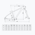 Mountain bike Kellys Spider X30 29" pistachio green 2