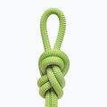 Gilmonte Next II 9.6 UDP climbing rope dynamic green GI60540