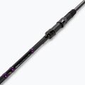 Delphin Corsar carp set Rod + Reel 4