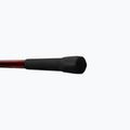 Delphin Amulet Carp fishing rod 6