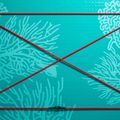 SUP ABSTRACT Coral 10'6'' topaz board 3