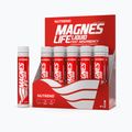 Magneslife Nutrend 10X25 ml magnesium VT-023-250-XX 2