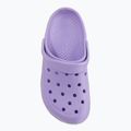 Women's Coqui Cody light lilac/white sandals 7