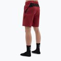 Men's cycling shorts SILVINI Elvo merlot 3