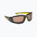 Shimano BEASTMASTER sunglasses