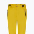 Women's snowboard trousers Protest Prtcinnamones oliveoil green 3