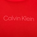 Men's Calvin Klein Hoodie XNZ hazard sweatshirt 7