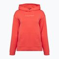 Men's Calvin Klein Hoodie 97A cool melon 5