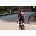 Rogelli Signature Bib Short men's cycling shorts black 7