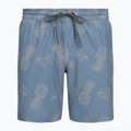 Men's swim shorts Hurley Pineapple Volley Swim Short Blue/Brown