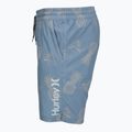 Men's swim shorts Hurley Pineapple Volley Swim Short Blue/Brown 3