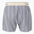 Boxers Calvin Klein LV00NM2945 Boxer Trad majorca stripe speakeasy 2