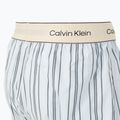 Boxers Calvin Klein LV00NM2945 Boxer Trad majorca stripe breezy blue 3