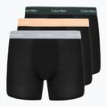 Boxers Calvin Klein LV00NB4394 Brief 3 pairs black w/darkest spruce wb/black w