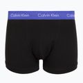 Men's boxers Calvin Klein 0000U2662G Trunk 3 pairs black w green bloom wb/black w da 5
