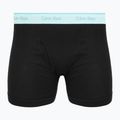 Boxers Calvin Klein LV00NB1429 Boxer Brief 5 pairs Black Bodies w/black/niagara falls 3