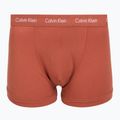 Men's boxers Calvin Klein 0000U2662G Trunk 3 pairs sodalite blue/redwood/white peppe 6