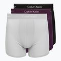 Men's boxers Calvin Klein LV00NB4394 Brief black/harbor mist/dark purple w/ dt
