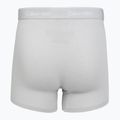 Men's boxers Calvin Klein LV00NB4394 Brief black/harbor mist/dark purple w/ dt 5
